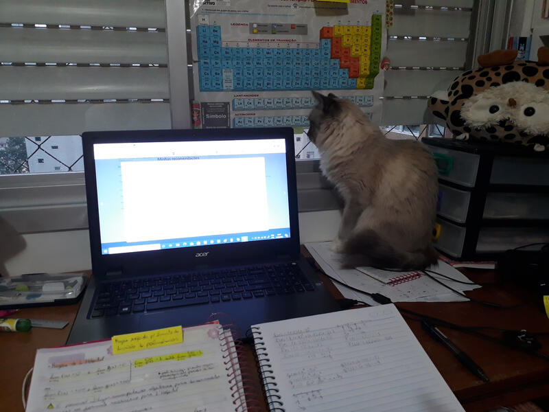 Foto da do meu quarto que resume minha vibe