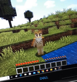 Skin que fiz pra mim mesma no Minecraft